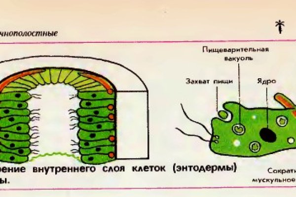 Kraken новая ссылка